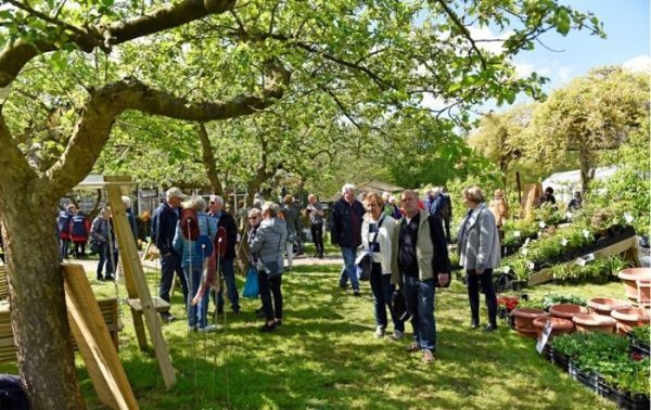 Lentefair in de Tuinen van Frederiksoord